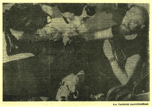 Jan Woek